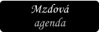 Mzdov� agenda